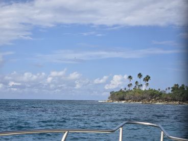 A picturesque view of a tropical coastline with palm trees, showcasing the beauty of the island and the serene waters — perfect for nature lovers and adventure seekers.