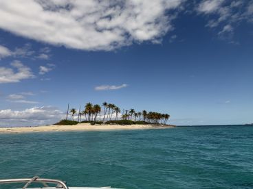 A picturesque view of a secluded island with palm trees and a sandy beach, perfect for island hopping adventures and relaxing getaways.