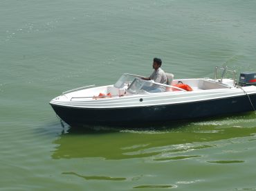 A man navigates a speedboat through green waters, showcasing the thrill of boating adventures.
