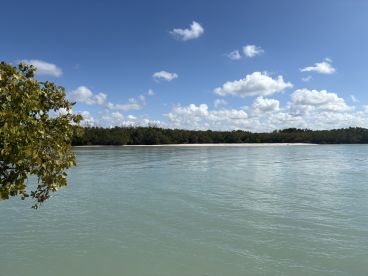A serene view of a tranquil coastline with lush greenery and a sandy beach under a bright blue sky — perfect for showcasing beautiful destinations on a boating trip.