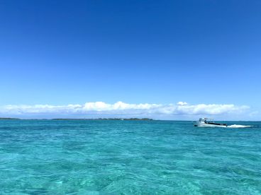 A boat speeds through stunning turquoise waters, showcasing the beauty of the open sea and inviting adventure on the water.