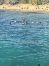 A group of snorkelers enjoys exploring the vibrant underwater world in clear turquoise waters, perfect for a fun day at the beach.