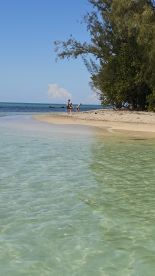 A group of people enjoys a sunny day at the beach, exploring the shallow waters and sandy shores — a perfect sandbar stop for fun and relaxation.