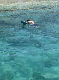A swimmer enjoys snorkeling in crystal-clear waters, showcasing the vibrant marine life and stunning underwater scenery.