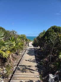 A scenic pathway leading to the beach, surrounded by lush greenery and clear blue skies, perfect for exploring coastal destinations.