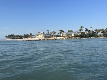 We had dolphins following our boat!