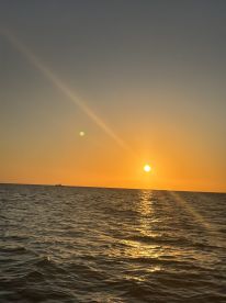 A stunning sunset over the ocean, casting golden reflections on the water — a perfect backdrop for evening boat cruises.