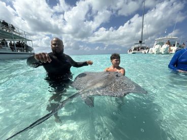 A child interacts with a stingray in shallow waters, creating a memorable wildlife experience. This encounter showcases the beauty of marine life in a tropical setting.