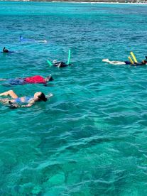 A group of snorkelers enjoys the vibrant underwater scenery in crystal-clear waters, making for an unforgettable aquatic adventure.