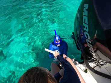 A snorkeler interacts with a companion while enjoying the vibrant turquoise waters, showcasing the excitement of underwater exploration.
