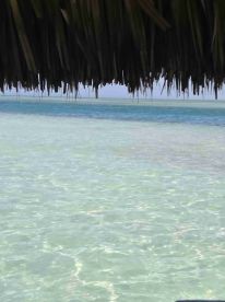 Fun family adventure!