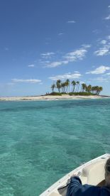 A picturesque view of a secluded island with palm trees, captured from a boat in crystal-clear waters — an ideal destination for a relaxing day on the water.