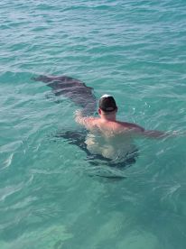 A man interacts with a stingray while swimming in clear turquoise waters, showcasing a unique wildlife experience in a tropical setting.