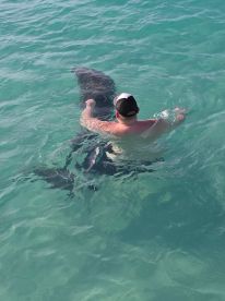 A thrilling encounter as a man swims with a shark in crystal-clear waters, showcasing the excitement of wildlife interactions in marine adventures.