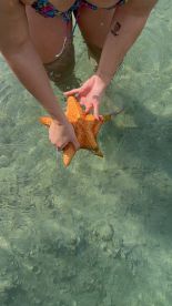 The Best Bach Trip Ever! 