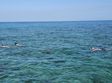 Two snorkelers explore the vibrant underwater world in crystal-clear waters, showcasing the beauty of marine life and the joy of ocean adventures.