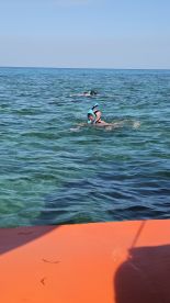Snorkelers explore the vibrant underwater world in crystal-clear waters, showcasing the excitement of marine adventures.