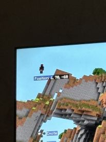 An unclear screenshot from a video game, showing a character's position in a blocky landscape.