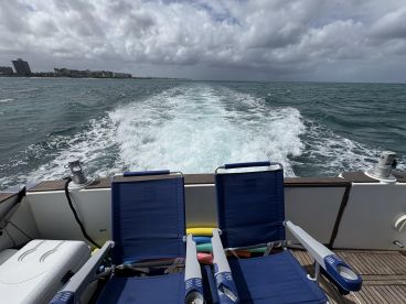 A scenic view from the back of a boat, showcasing the wake as it moves through the water, with a glimpse of the shoreline in the distance.