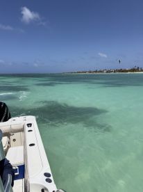 A stunning view of turquoise waters and a picturesque coastline, perfect for showcasing the beauty of a boating adventure.