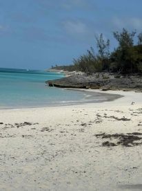 A serene beach scene showcasing the stunning turquoise waters and sandy coastline, perfect for relaxation and exploration in the Bahamas.