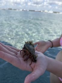A child holds a hermit crab in shallow water, showcasing a delightful moment of human-animal interaction in a tropical setting.