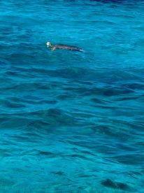 Wonderful family experience!