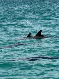 Great day on the water