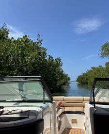 A serene view from a boat navigating through lush mangroves, with guests relaxing on board — perfect for nature lovers and tranquil outings.