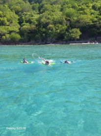 A group enjoys snorkeling in crystal-clear waters, surrounded by lush greenery — a perfect adventure for water enthusiasts.