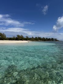 A stunning view of a secluded beach with crystal-clear turquoise waters and lush greenery, perfect for a relaxing getaway or island exploration.