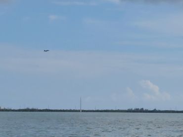 An unclear image featuring a plane flying above a body of water, with distant land visible in the background.