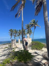 A person playfully interacts with a palm tree on a beautiful island, surrounded by lush greenery and a stunning ocean backdrop — a perfect moment of exploration in paradise.