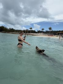 A woman interacts with a swimming pig in shallow waters, showcasing a unique wildlife experience in the Bahamas.
