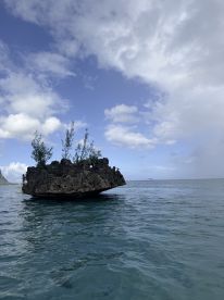 Boating with Discovery Fef