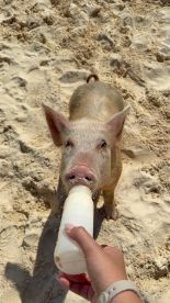 An unbelievable experience!