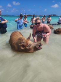A joyful interaction between a woman and a swimming pig in shallow waters, surrounded by a group of people enjoying this unique wildlife experience in the Bahamas.