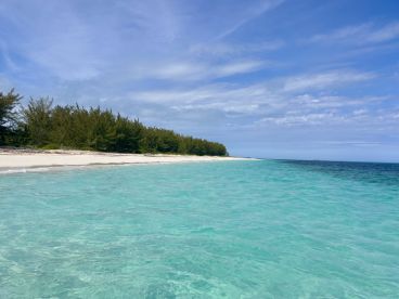 A stunning view of a serene beach with turquoise waters and lush greenery, perfect for showcasing the beauty of tropical destinations.