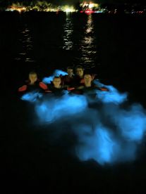 A group of friends enjoys a magical night swim in bioluminescent waters, creating a stunning glow around them — a unique experience under the stars.