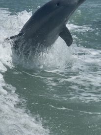 Great day on the water