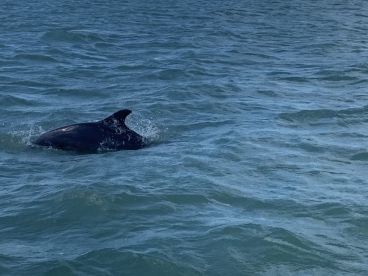 Great shelling boat trip!