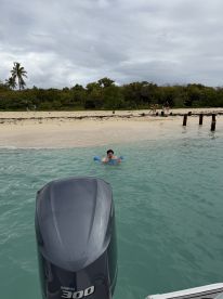 A person enjoys swimming in clear waters near a sandy beach, with a scenic backdrop of palm trees and greenery — a perfect spot for relaxation and fun in the sun.