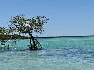 Sunday Funday Sandbars Like A Local
