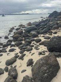A rocky shoreline with a view of the water and distant boats, creating a serene coastal scene.