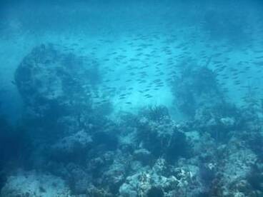 Pablo is an A+ Captain