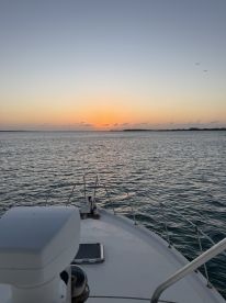 Sunset dolphin excursion