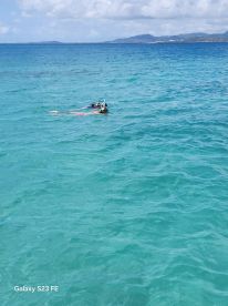 A snorkeler enjoys the vibrant underwater world in crystal-clear waters, perfect for aquatic adventures and exploration.