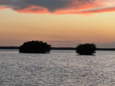 Look no further, this is your guy! 