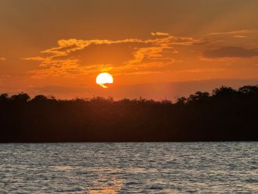 Look no further, this is your guy! 