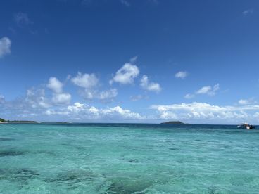 Professional operation